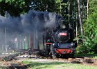 2020.08.27 JHMD U46.101 Jindřichův Hradec - Kamenice nad Lipou (5)